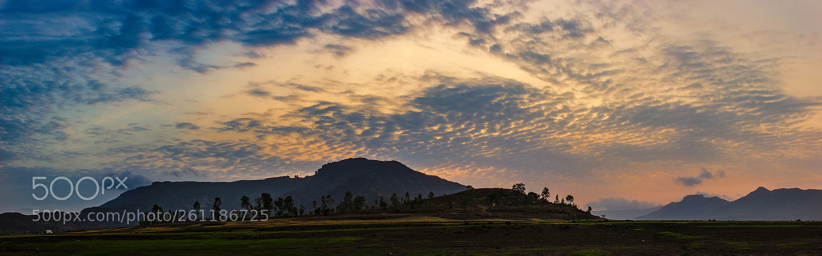 Nikon D800E sample photo. Skyline photography