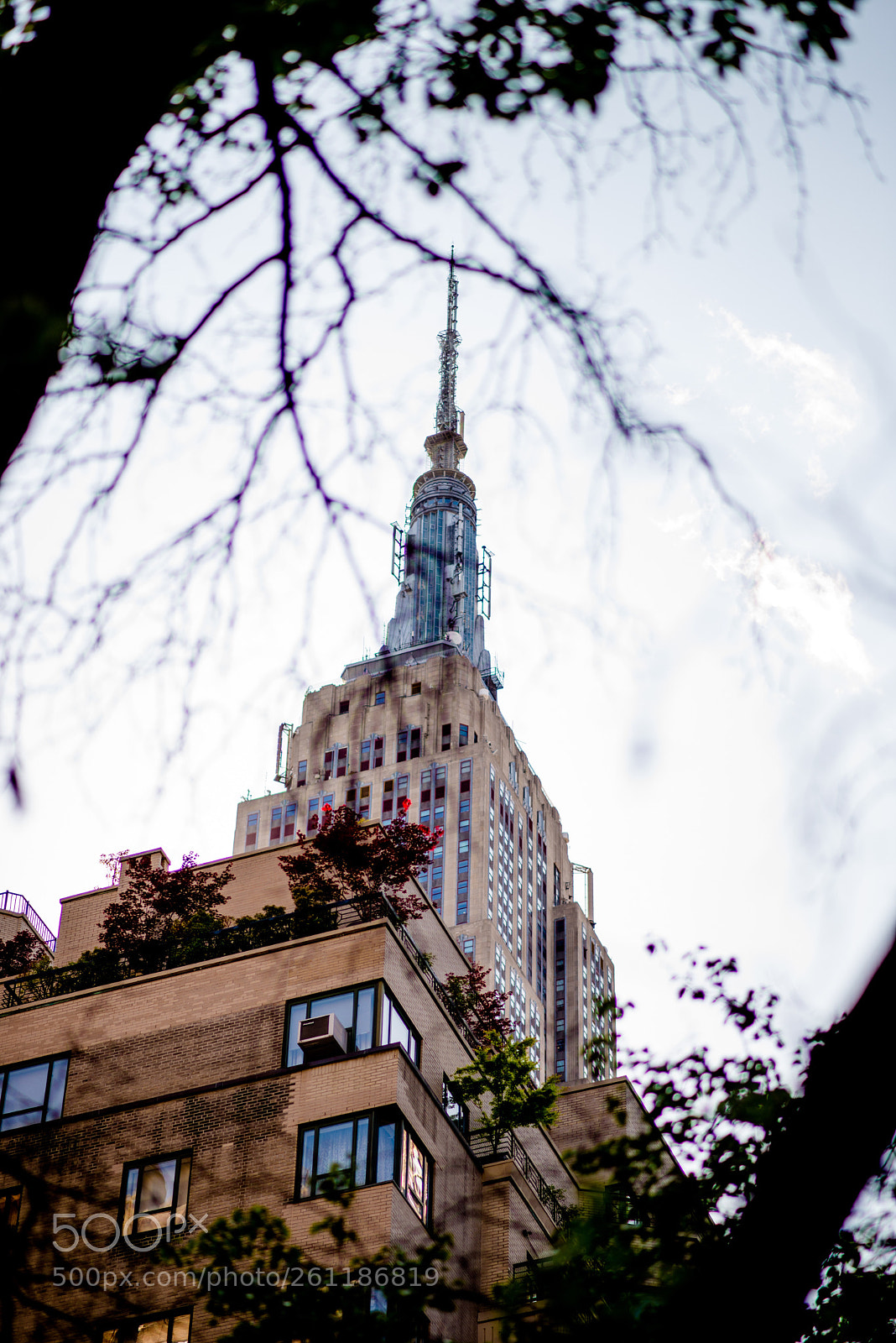Nikon D610 sample photo. Untitled photography