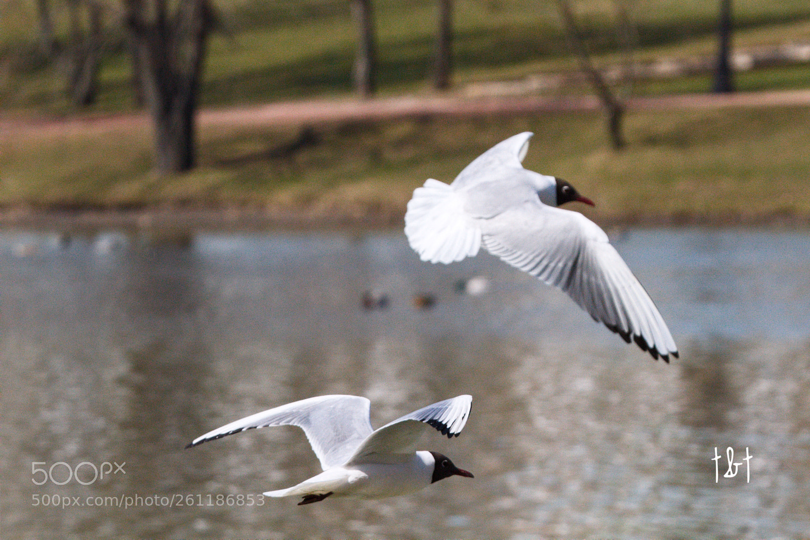 Canon EOS 7D sample photo. Untitled photography