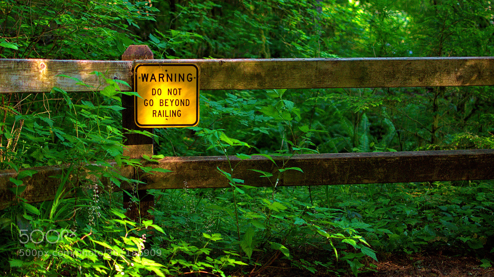 Nikon D3400 sample photo. Silver falls iv photography