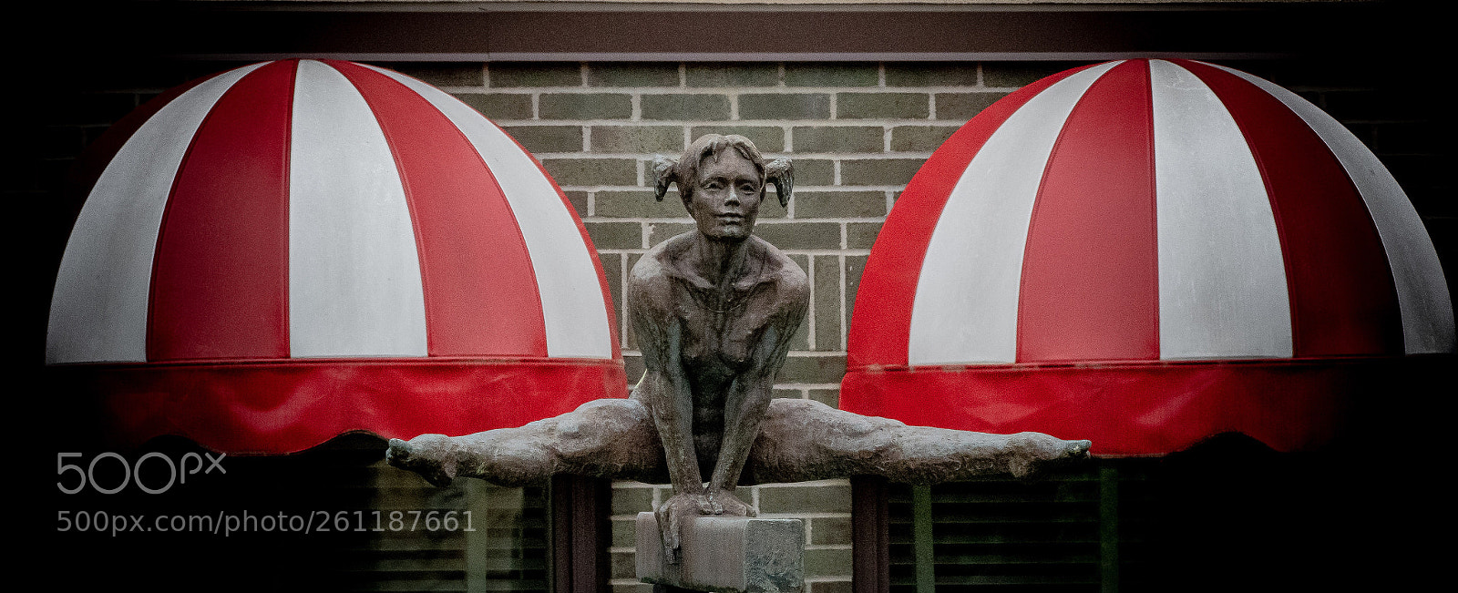 Nikon D500 sample photo. Gymnast photography