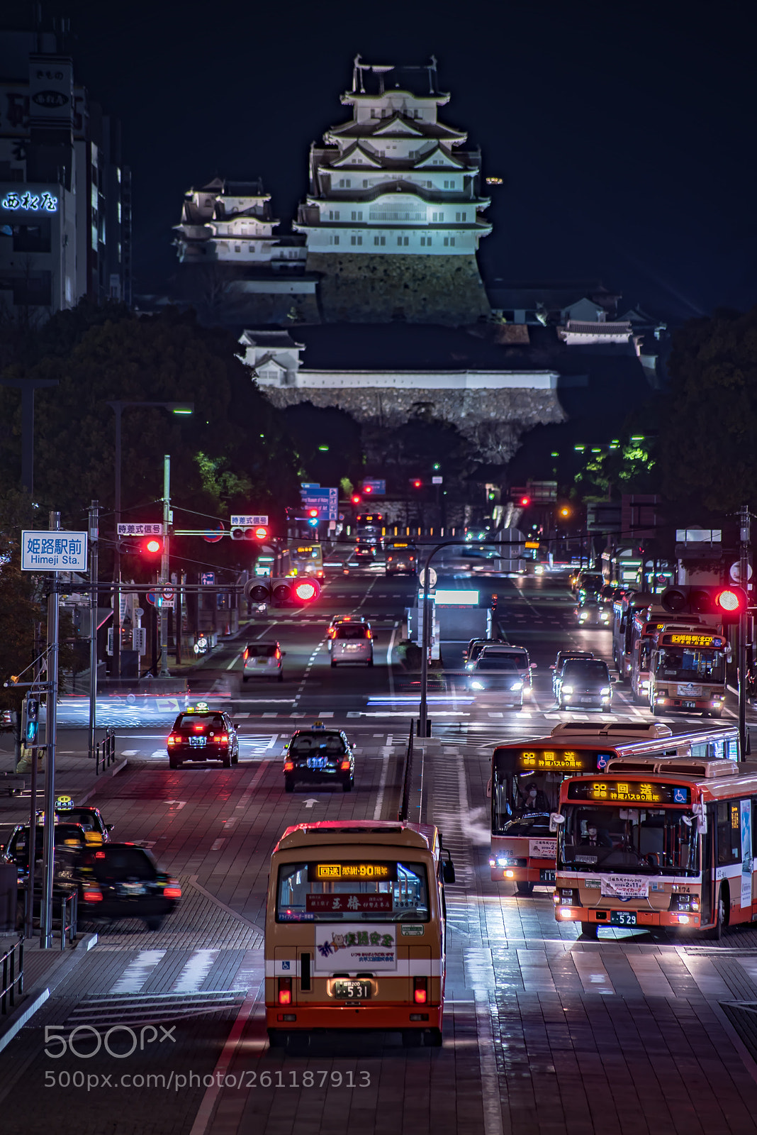 Nikon D750 sample photo. Himeji castle photography