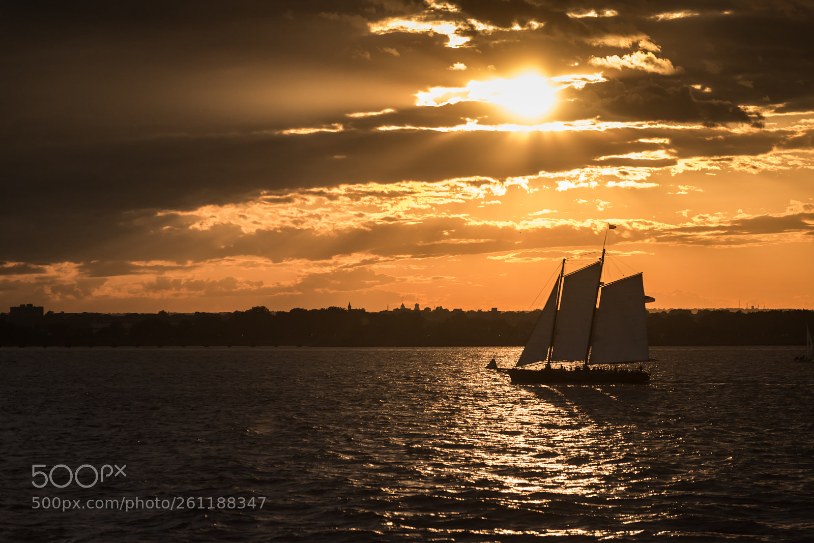 Nikon D610 sample photo. Sailing into the sun photography