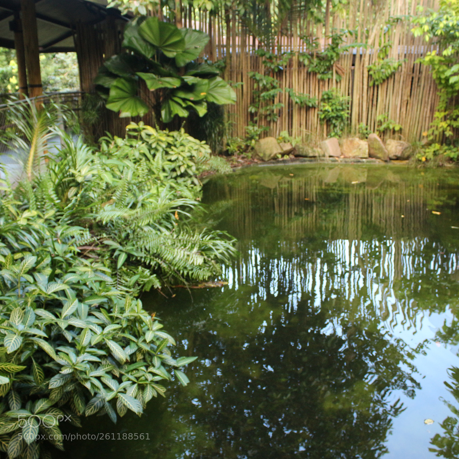 Canon EOS 700D (EOS Rebel T5i / EOS Kiss X7i) sample photo. Img photography