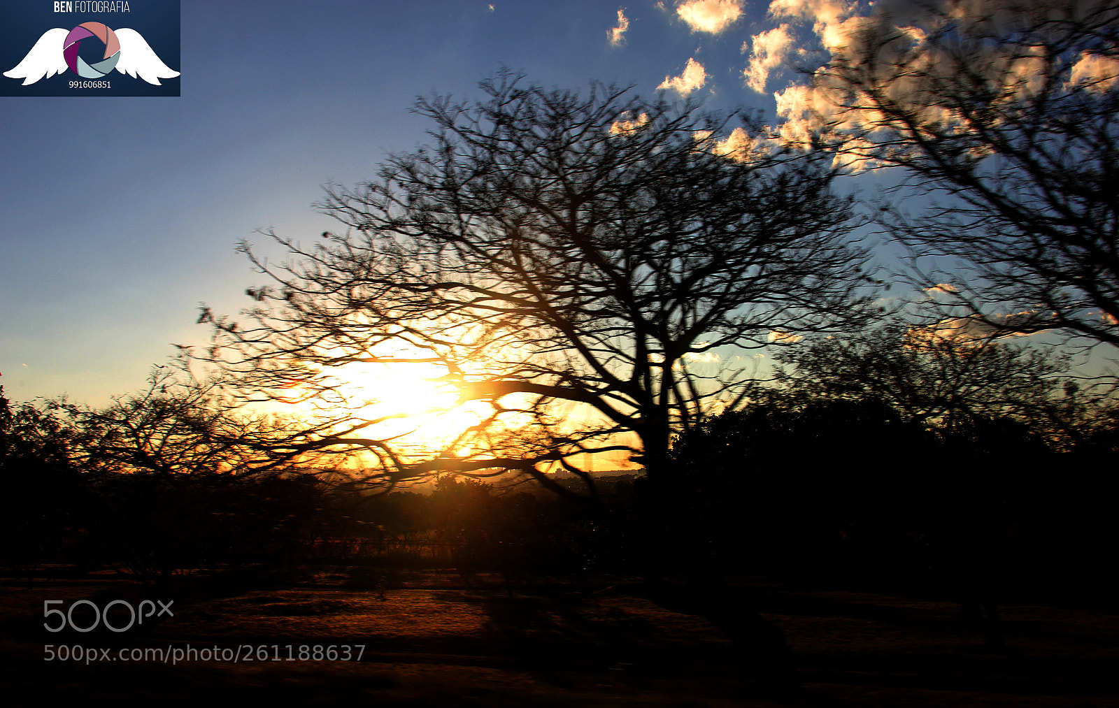 Canon EOS 60D sample photo. Img photography
