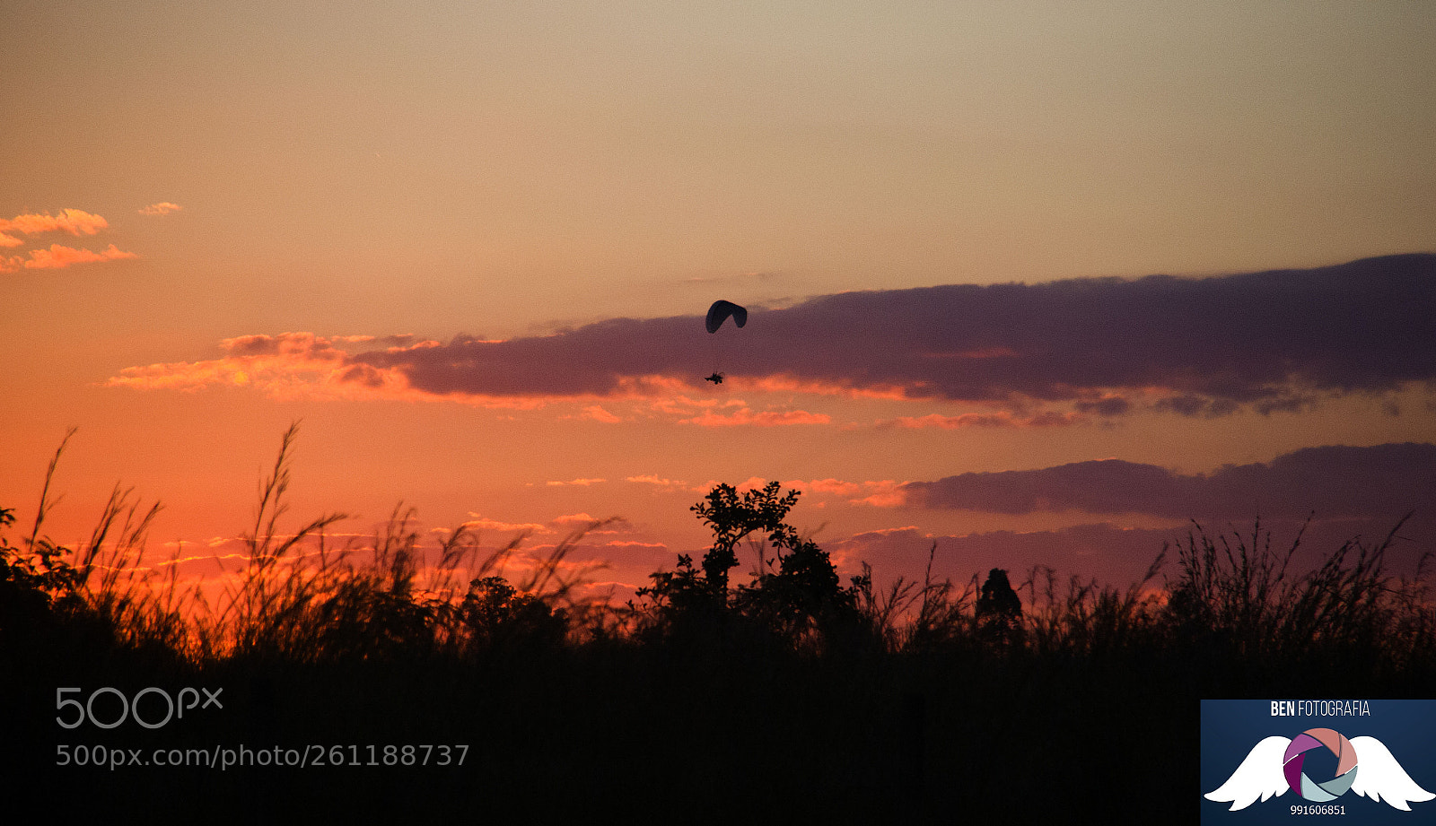 Canon EOS 60D sample photo. Img photography