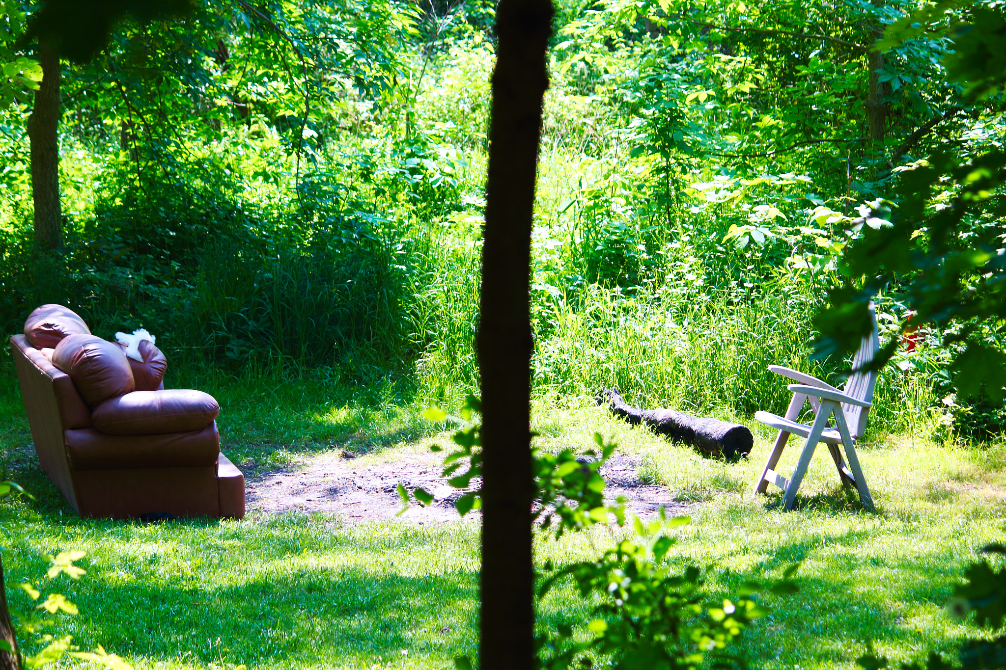 Canon EOS 1200D (EOS Rebel T5 / EOS Kiss X70 / EOS Hi) sample photo. Couch vs. chair photography