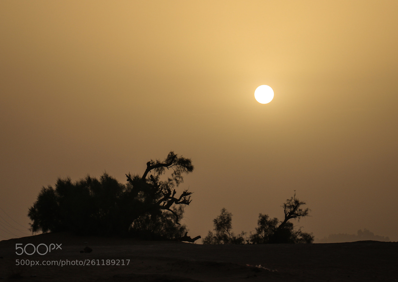 Canon EOS 70D sample photo. Untitled photography