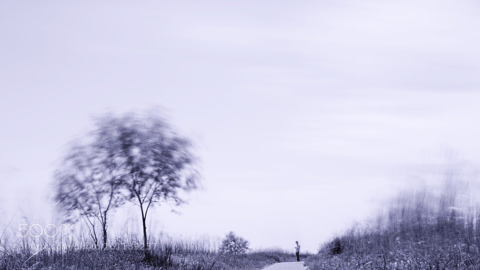 Sony a7R II sample photo. Solitude-6 photography