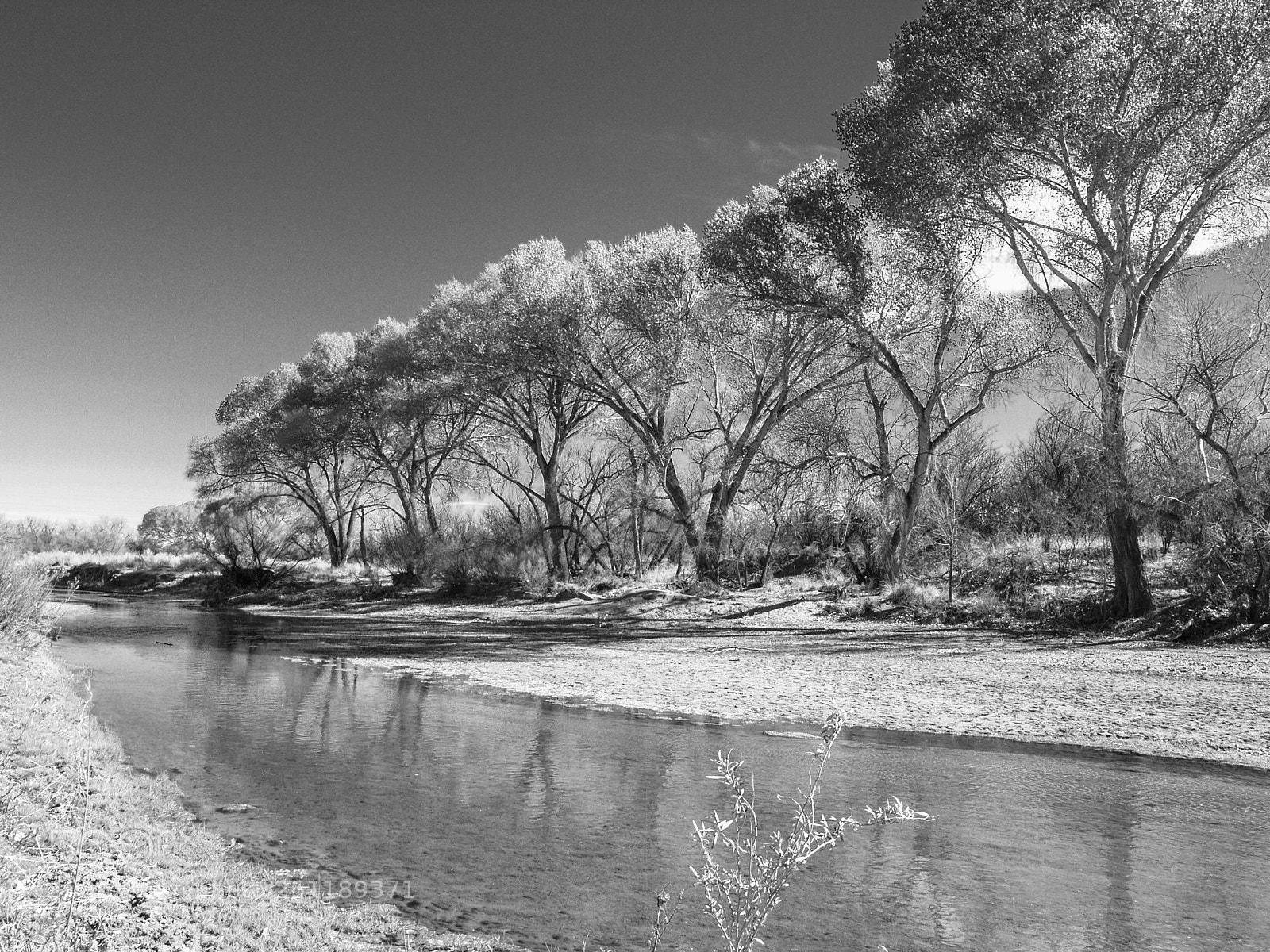 Olympus E-500 (EVOLT E-500) sample photo. San pedro river photography