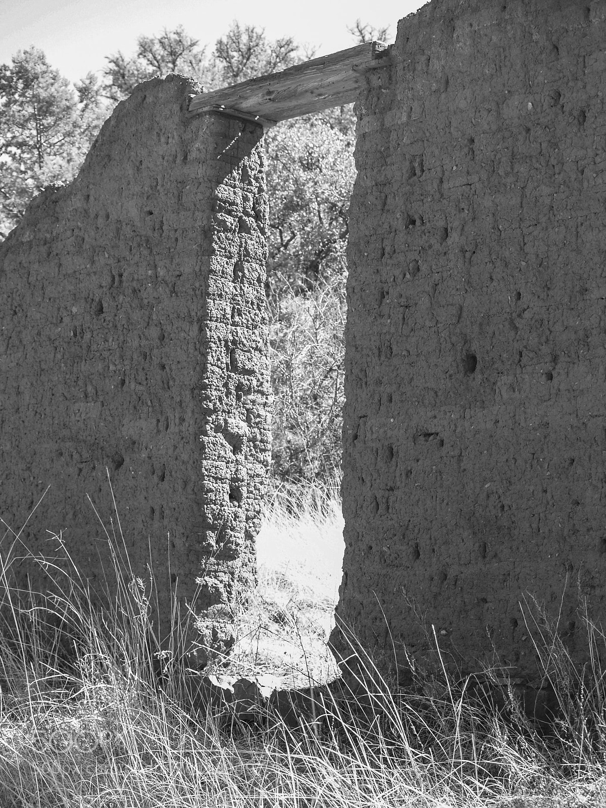 Olympus E-500 (EVOLT E-500) sample photo. Harshaw, az ruins photography
