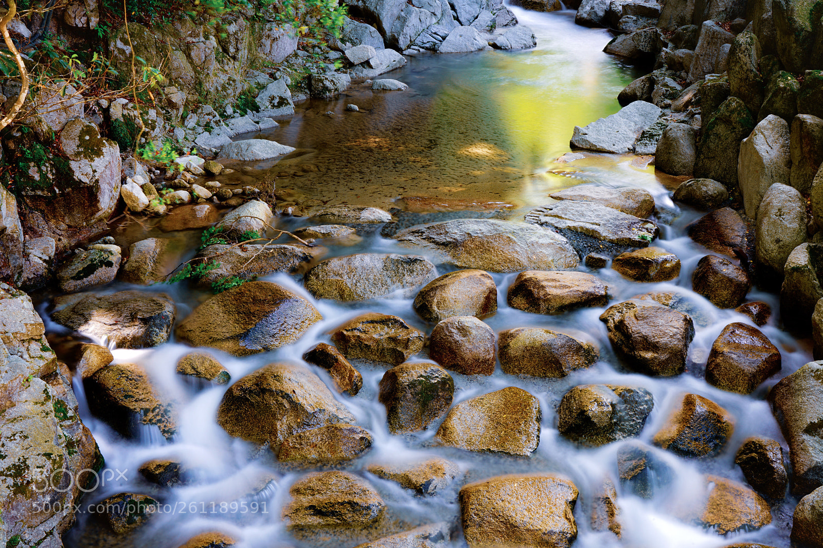 Sony a7 II sample photo. Untitled photography