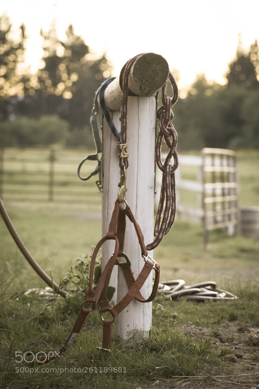 Nikon D3400 sample photo. Hitching post photography