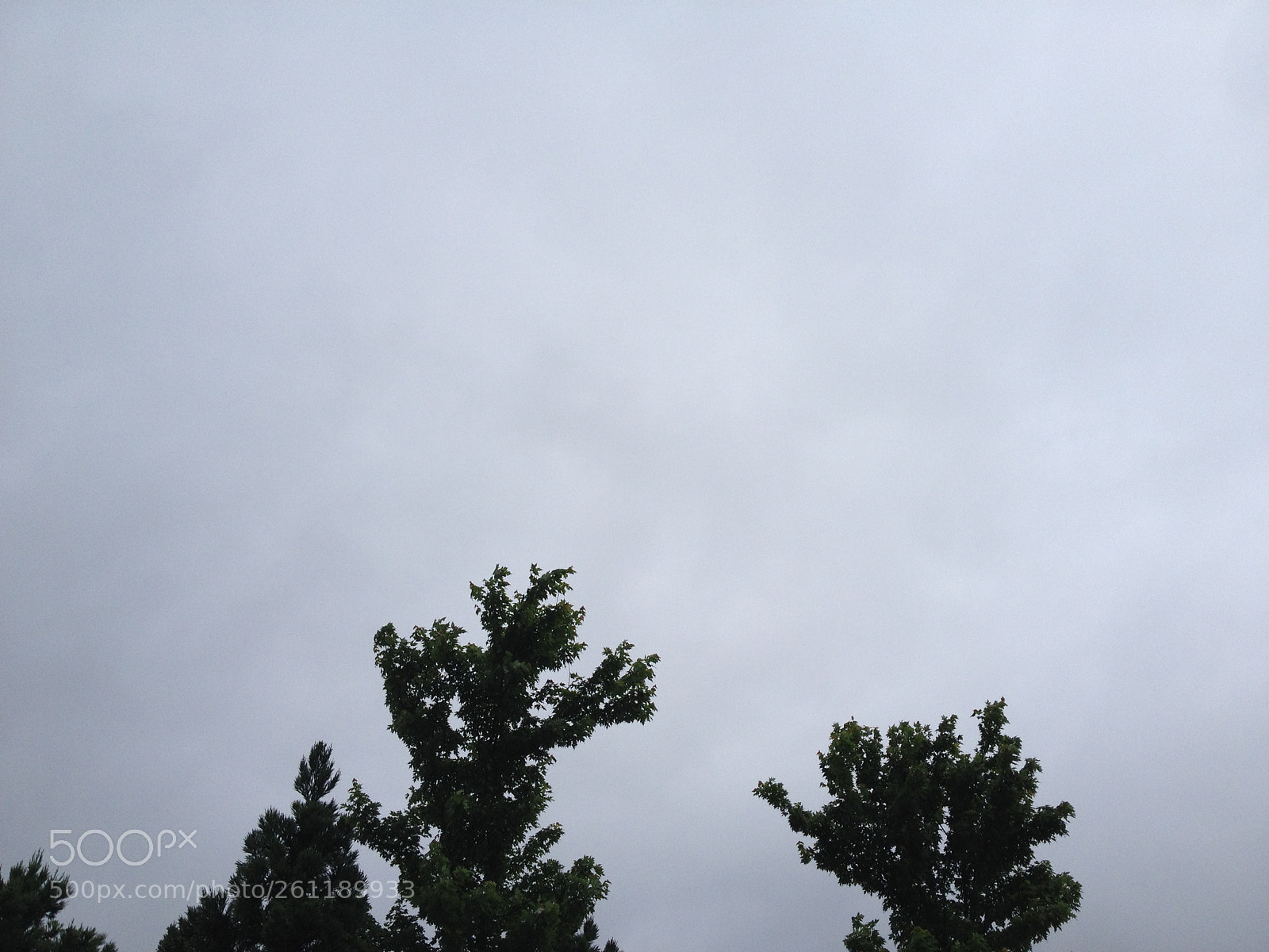 Apple iPhone 4S sample photo. Cloud ;tree; mountain photography