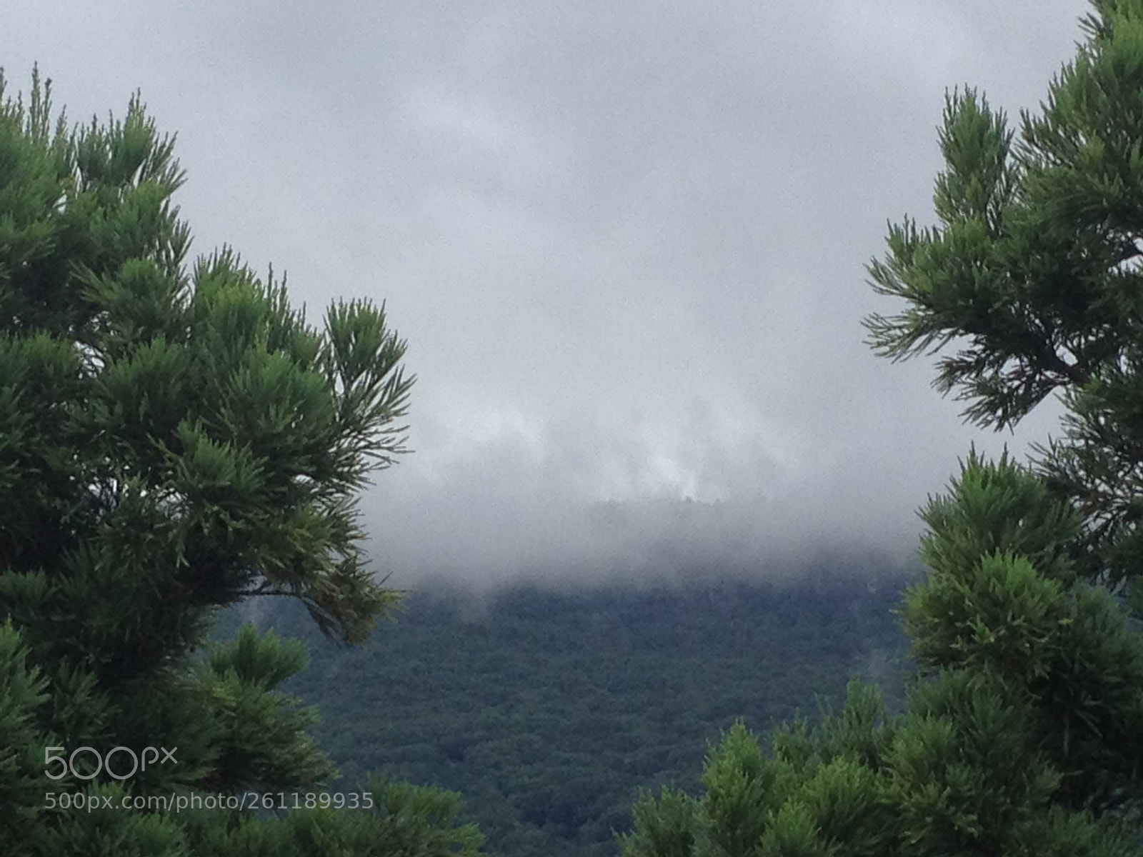 Apple iPhone 4S sample photo. Cloud ;tree; mountain photography