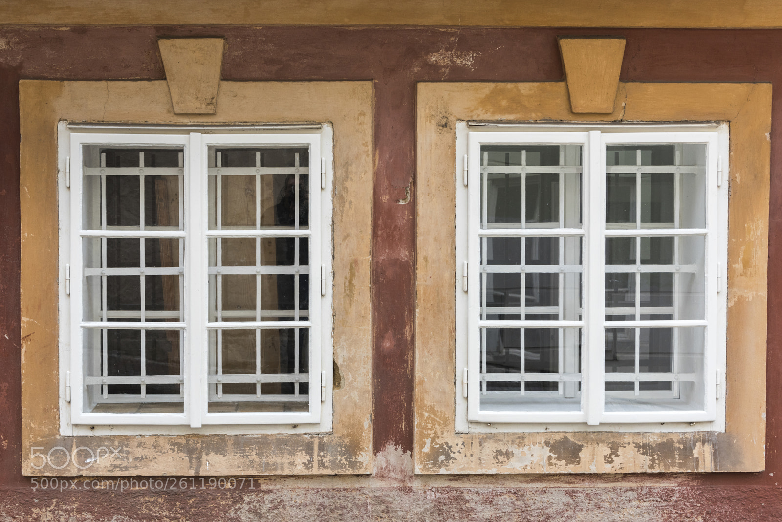 Nikon D810 sample photo. Close-up of bared windows photography