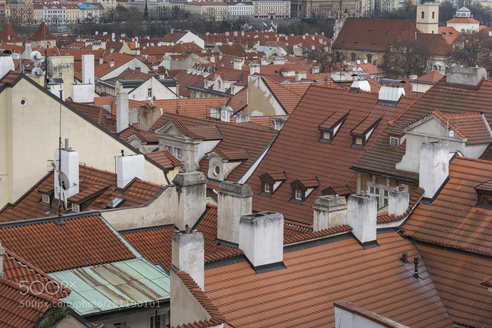 Nikon D810 sample photo. Rooftops of houses in photography