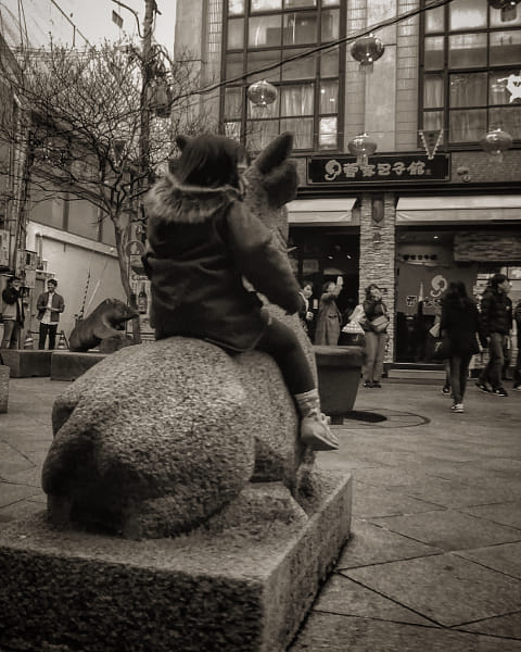 Panasonic DMC-TZ85 sample photos - ExploreCams
