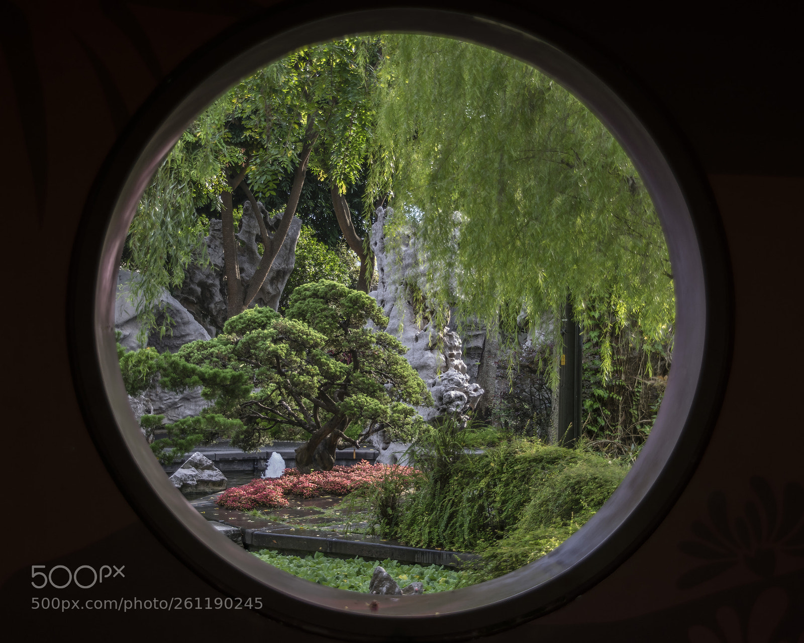 Nikon D5300 sample photo. Discover the world outside photography