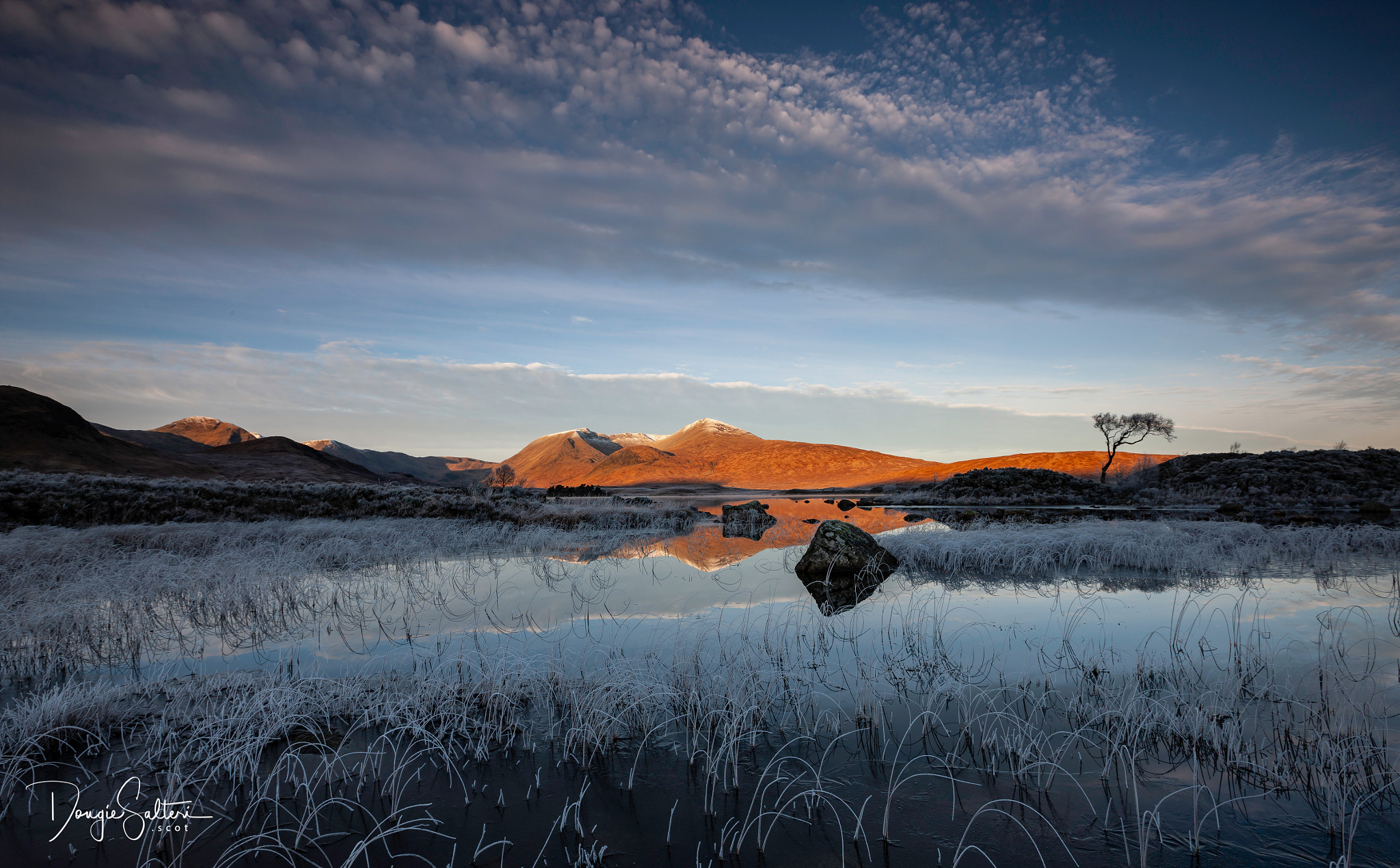 Canon EOS-1Ds Mark III sample photo. Crystal morning... photography