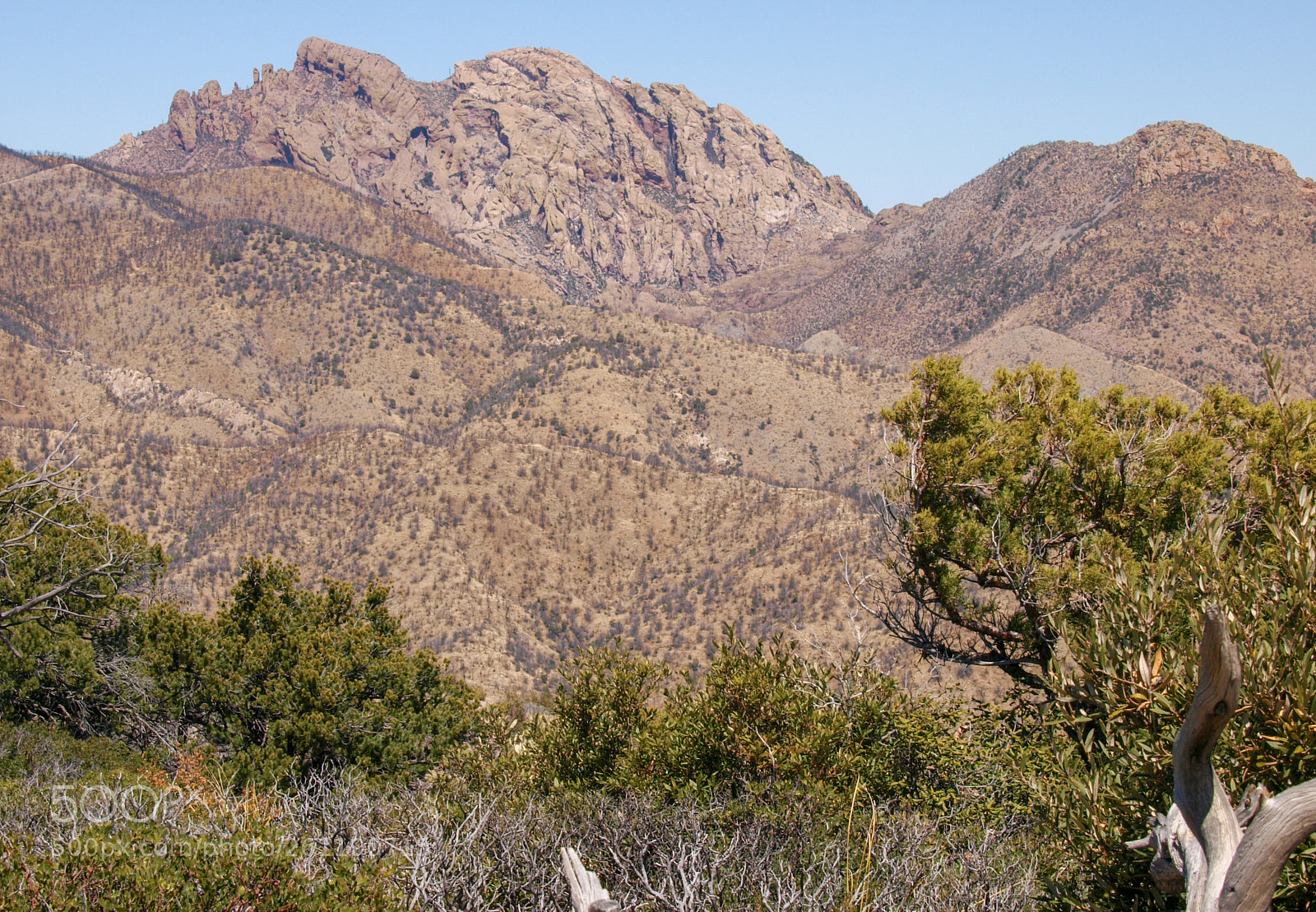Olympus E-3 sample photo. Cochise head photography
