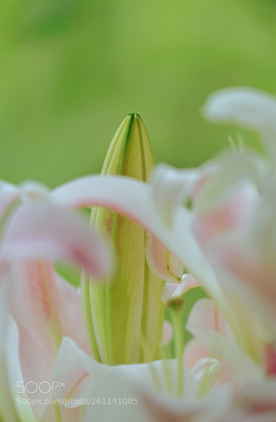 Fujifilm X-T2 sample photo. Untitled photography