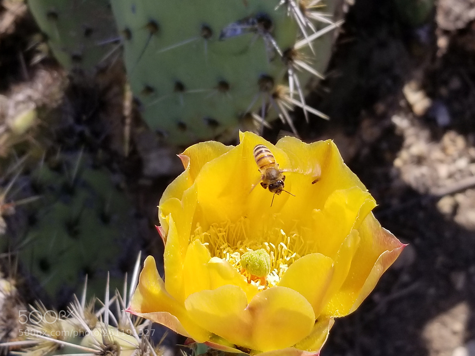 Samsung Galaxy S8+ sample photo. Untitled photography