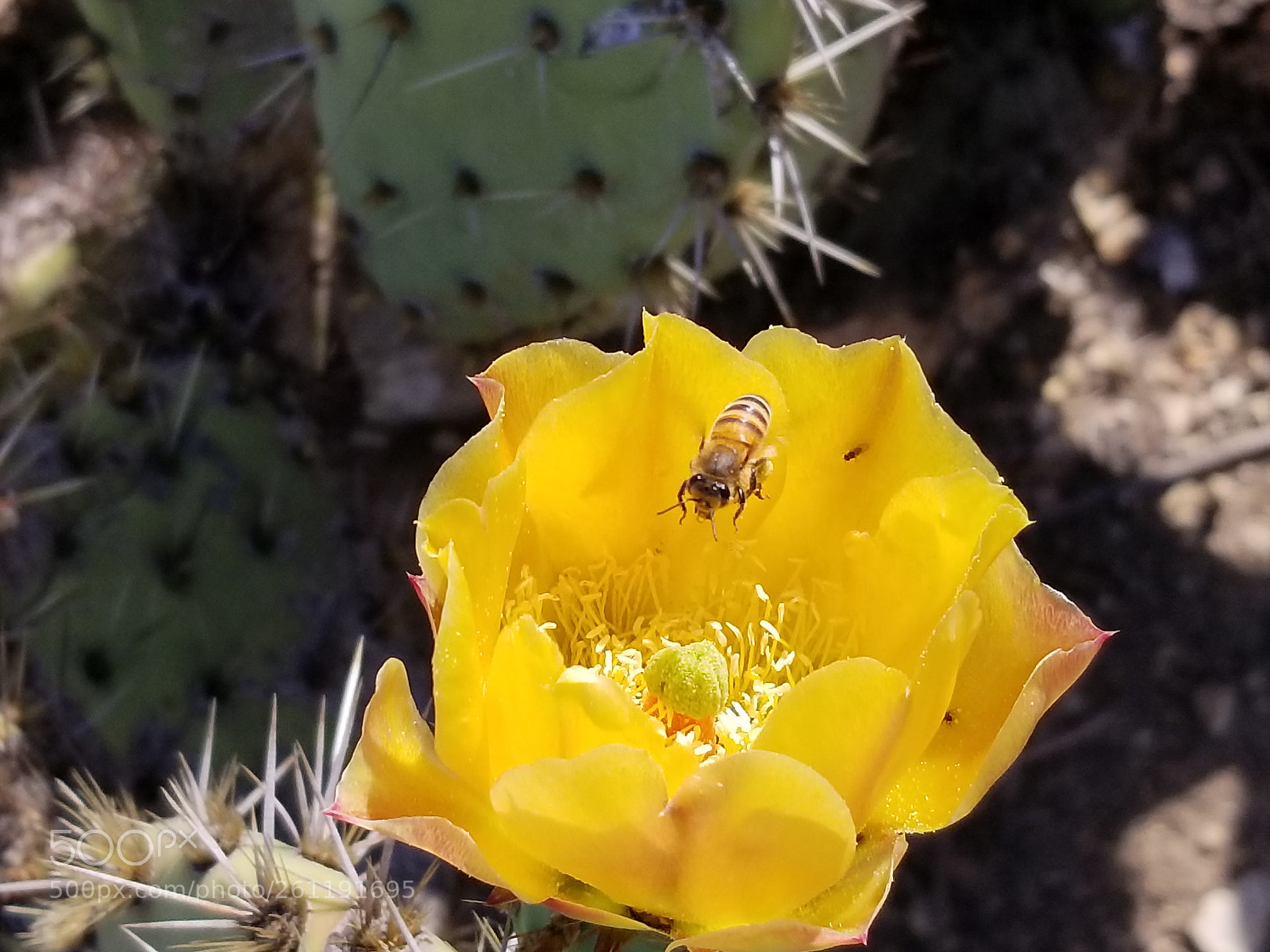 Samsung Galaxy S8+ sample photo. Untitled photography