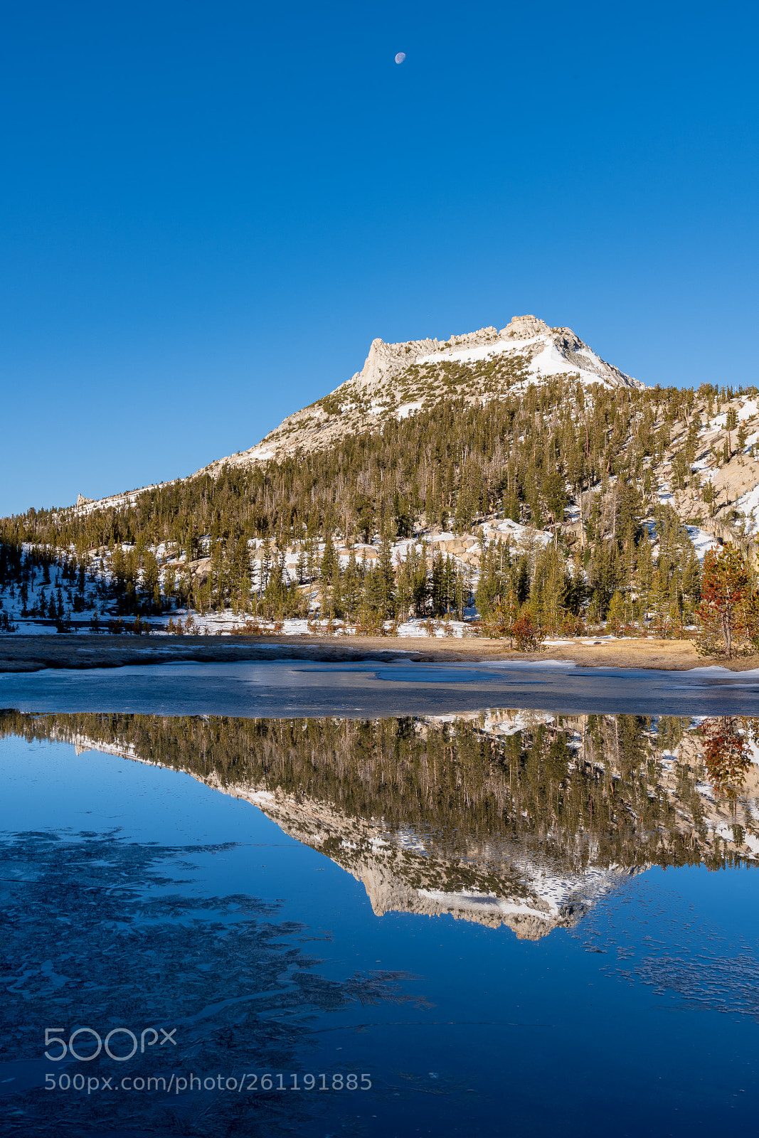 Nikon D850 sample photo. Tresidder peak, yosemite, ca photography