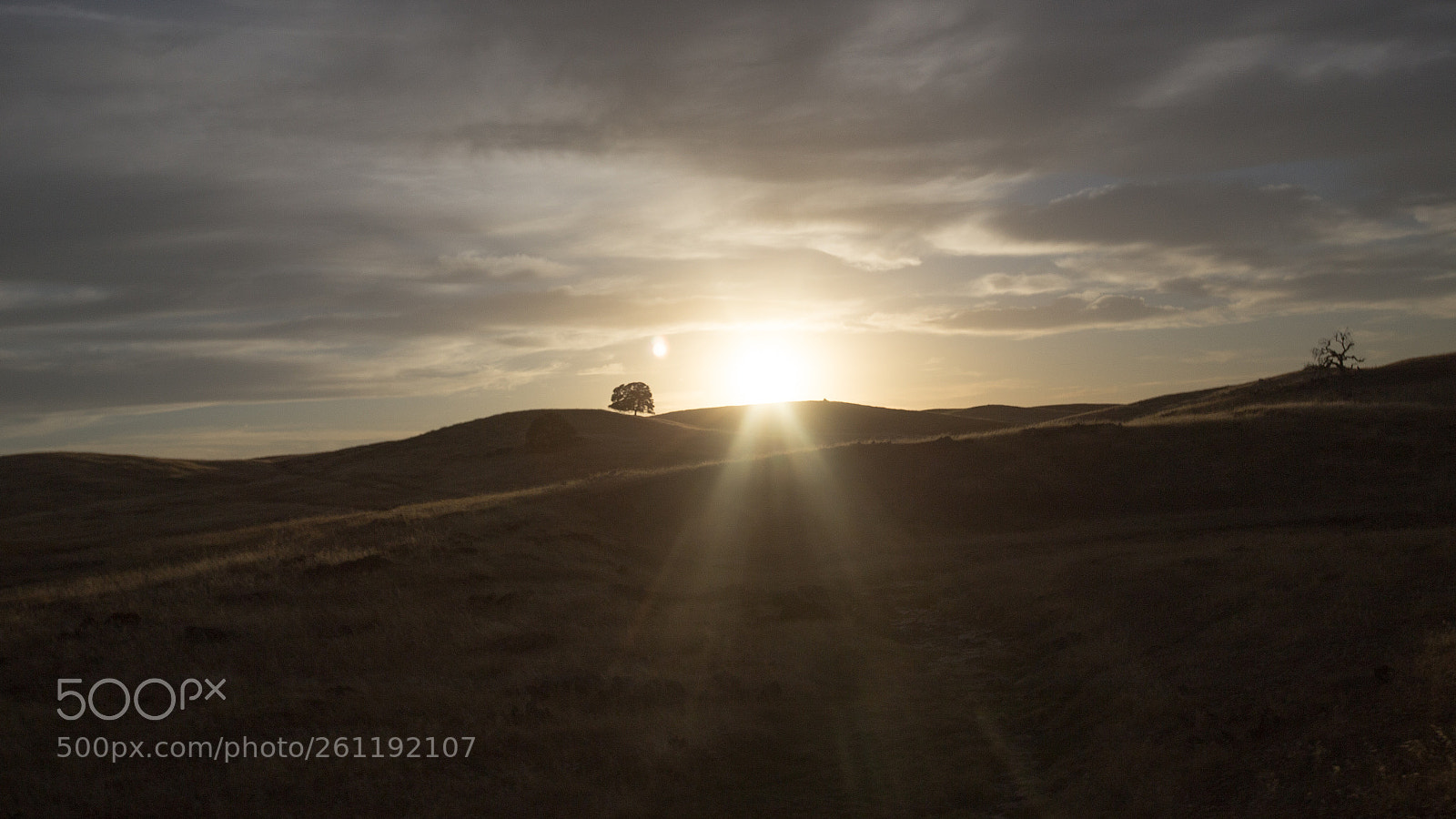 Canon EOS 6D sample photo. Sunset in the yosemite photography