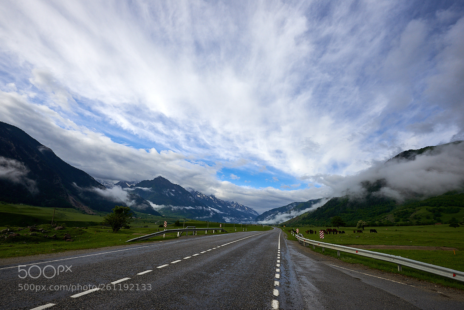 Nikon D600 sample photo. Good perspective. photography