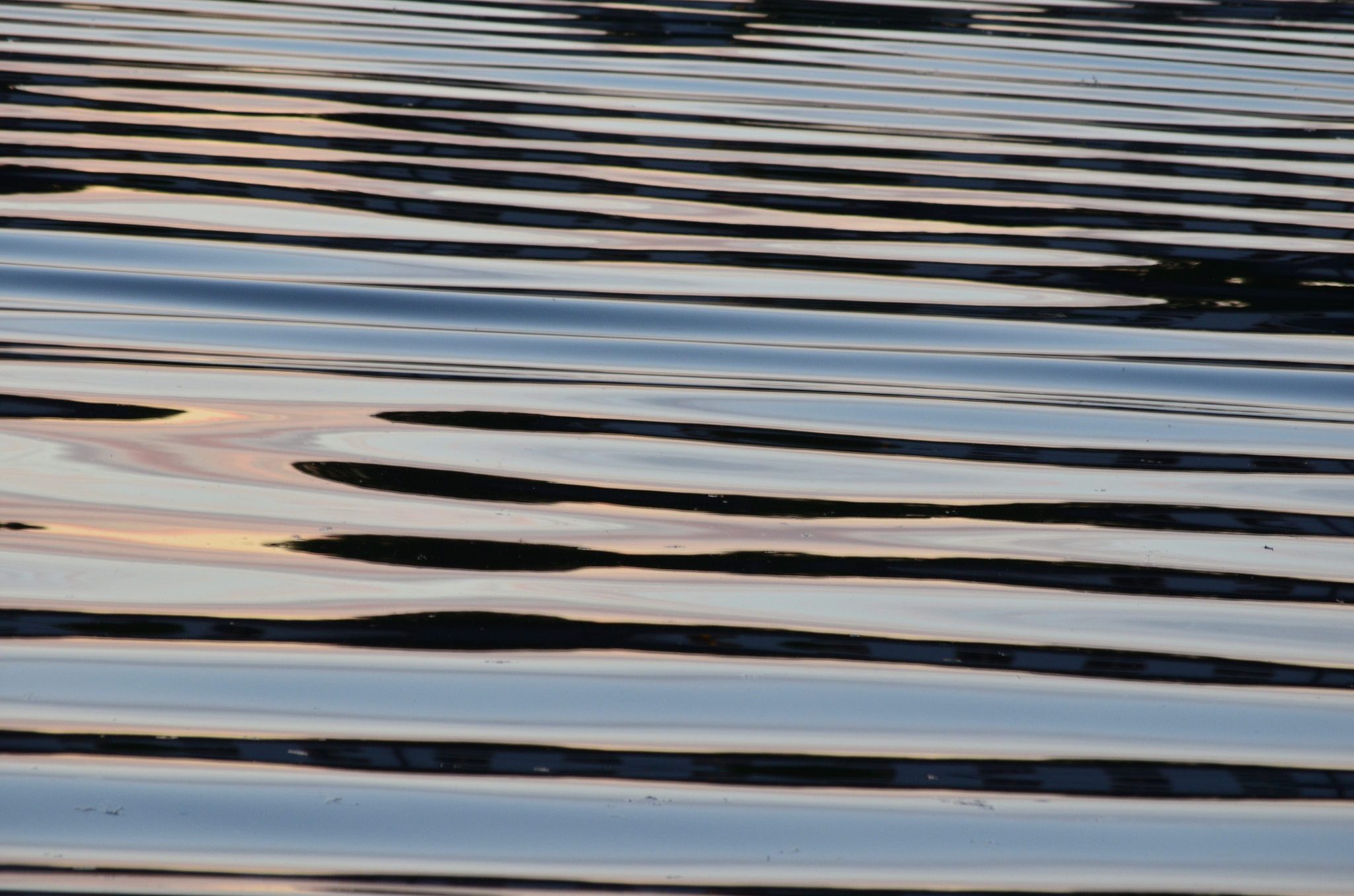 Nikon D5100 sample photo. Off kilter but at peace photography