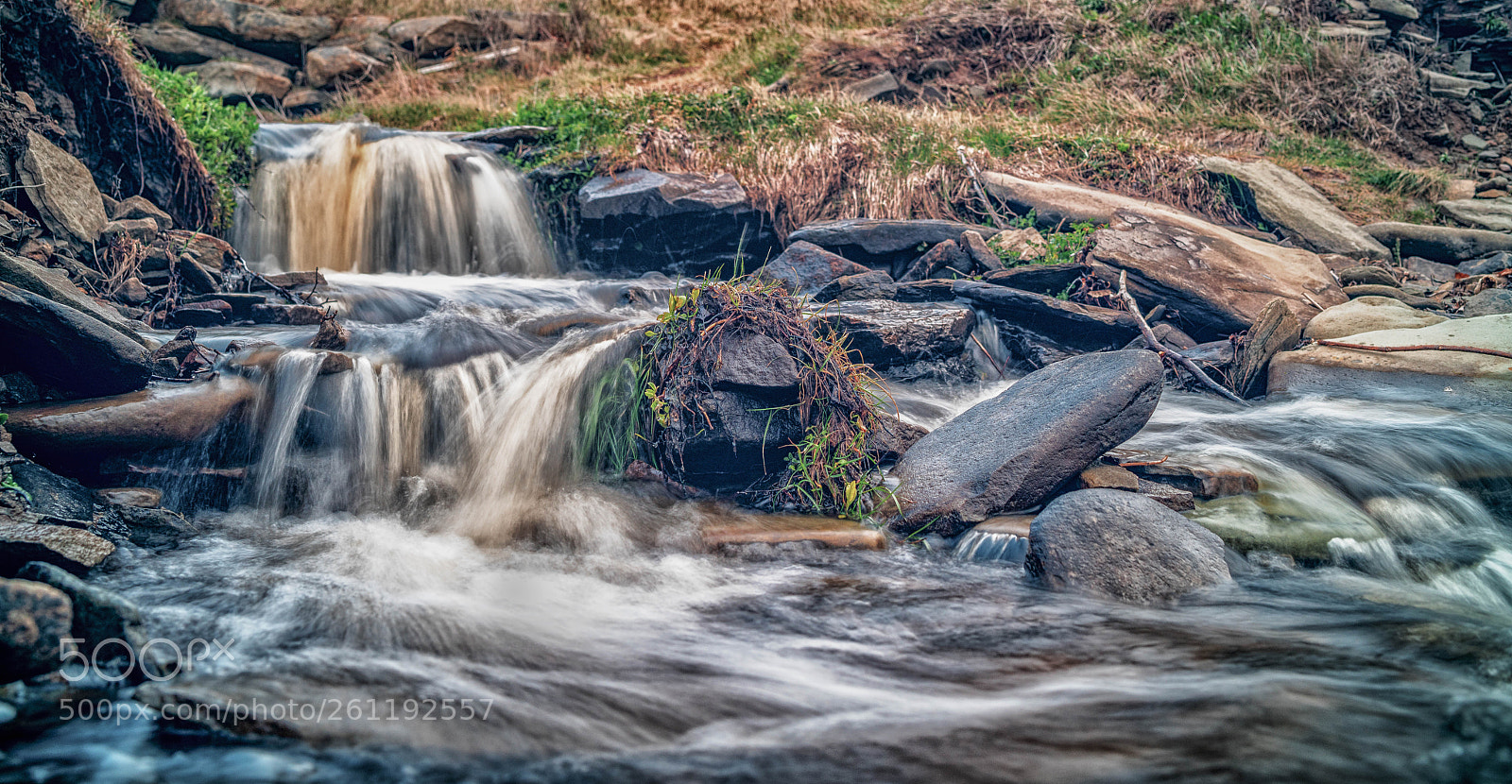 Sony a7R II sample photo. After the rain photography