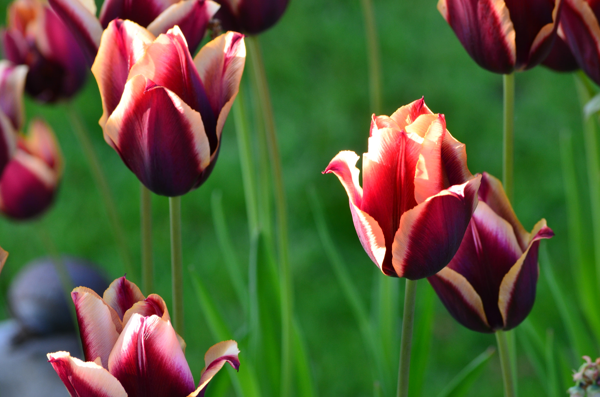 Nikon D5100 sample photo. Just breath.... photography