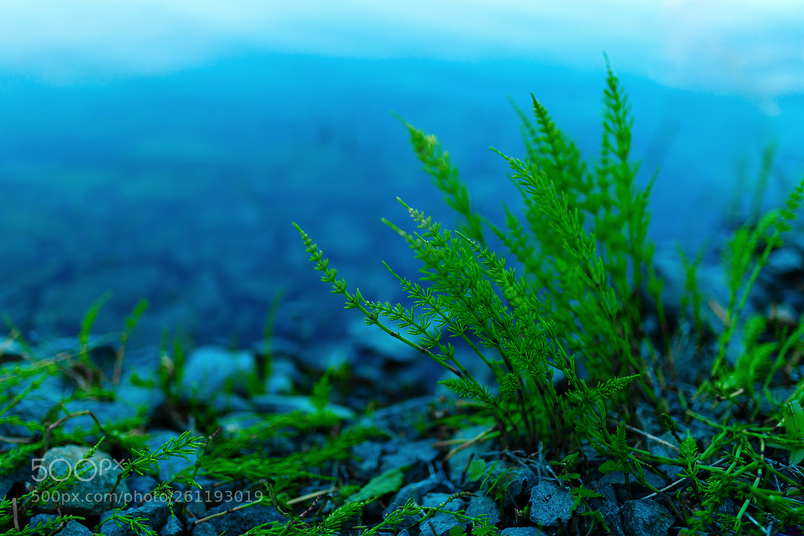 Canon EOS 6D sample photo. Untitled photography