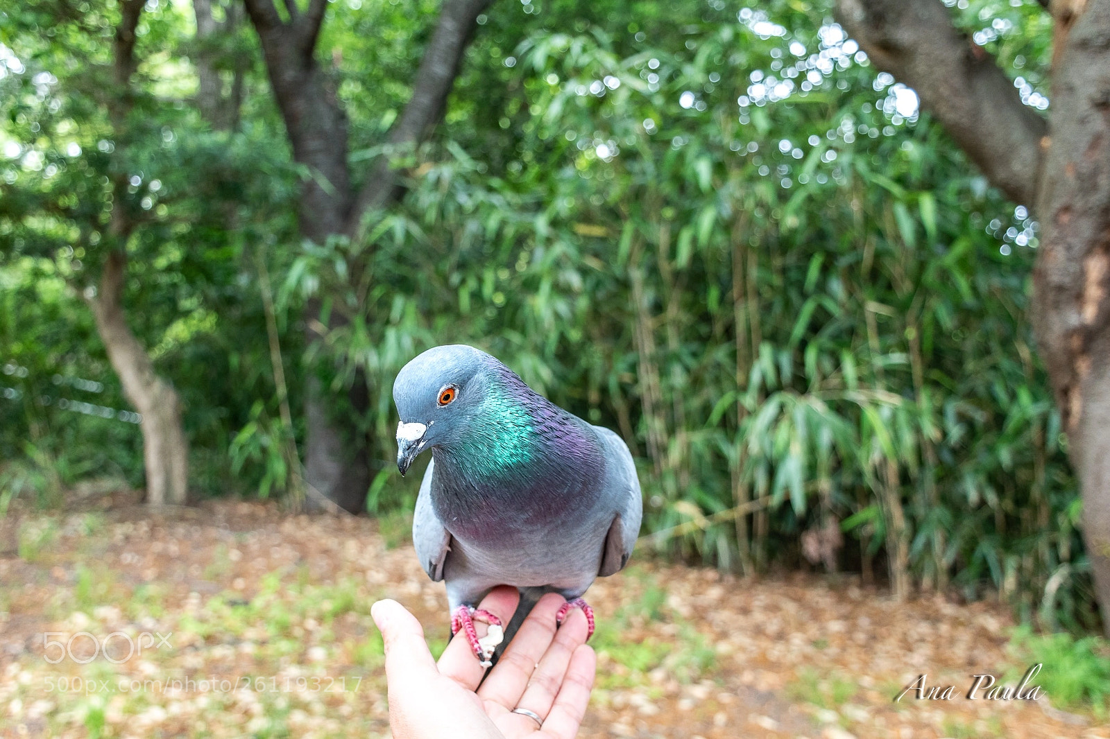Nikon D5500 sample photo. Untitled photography