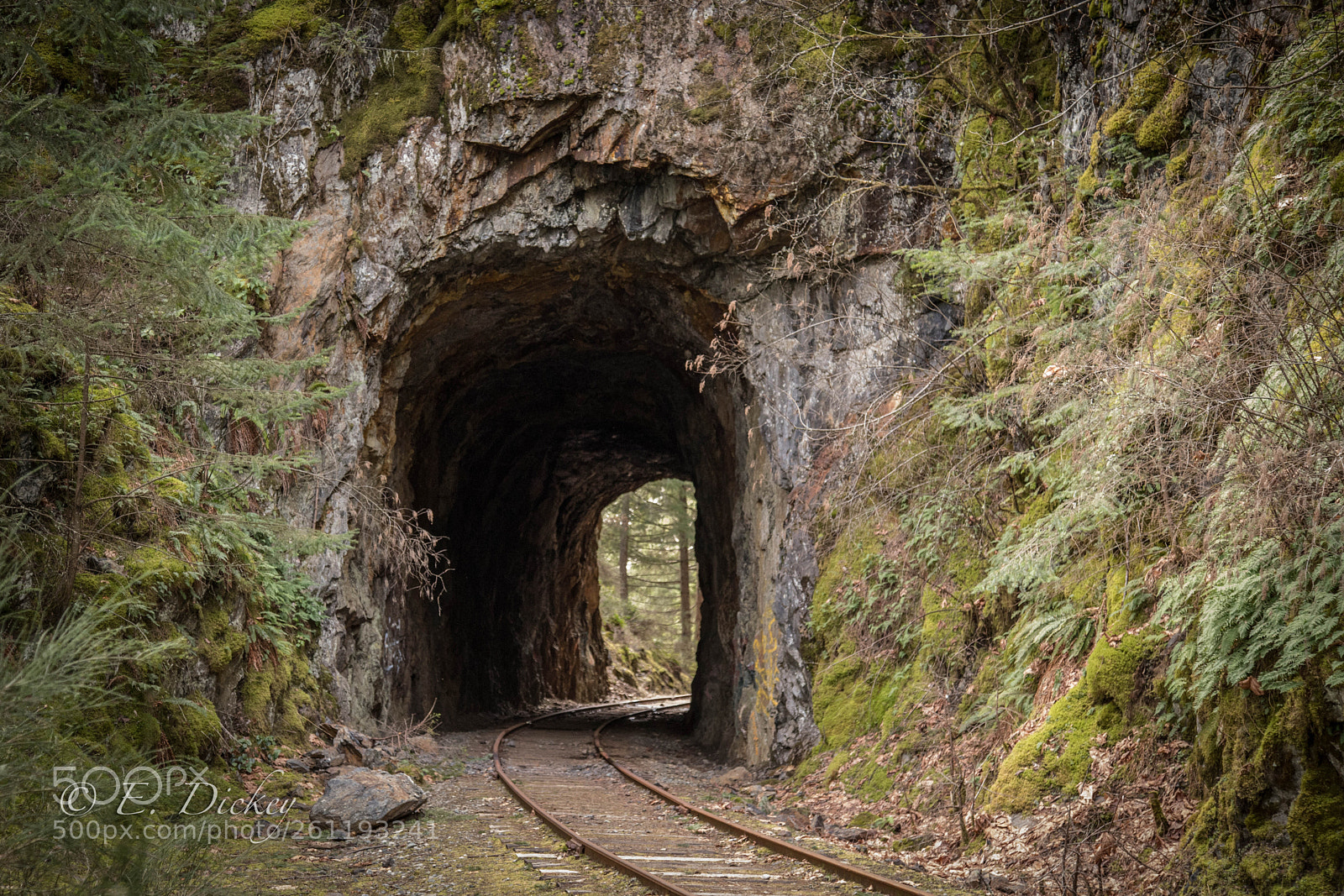 Canon EOS 6D Mark II sample photo. A hole in the photography