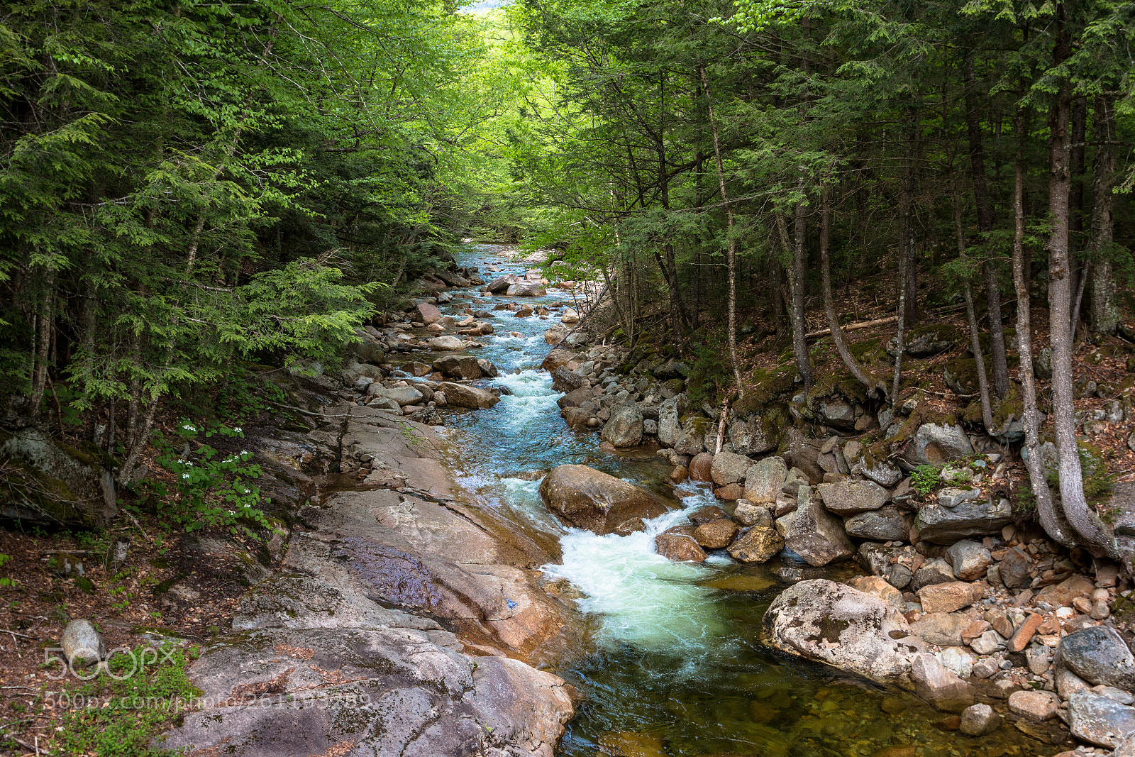 Canon EOS 70D sample photo. Flume gorge, franconia notch photography