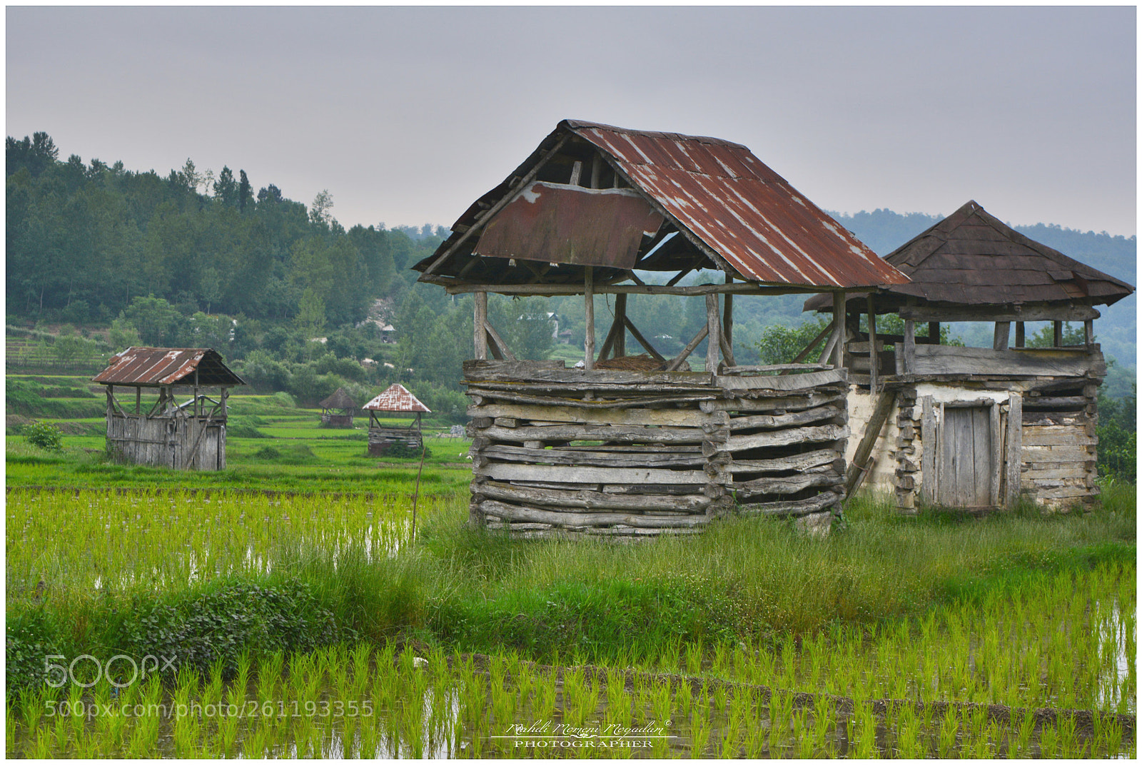 Nikon D5200 sample photo. Wooden house photography