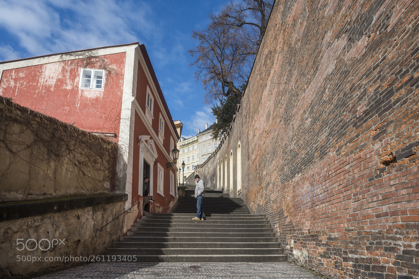 Nikon D810 sample photo. Man standing at town photography