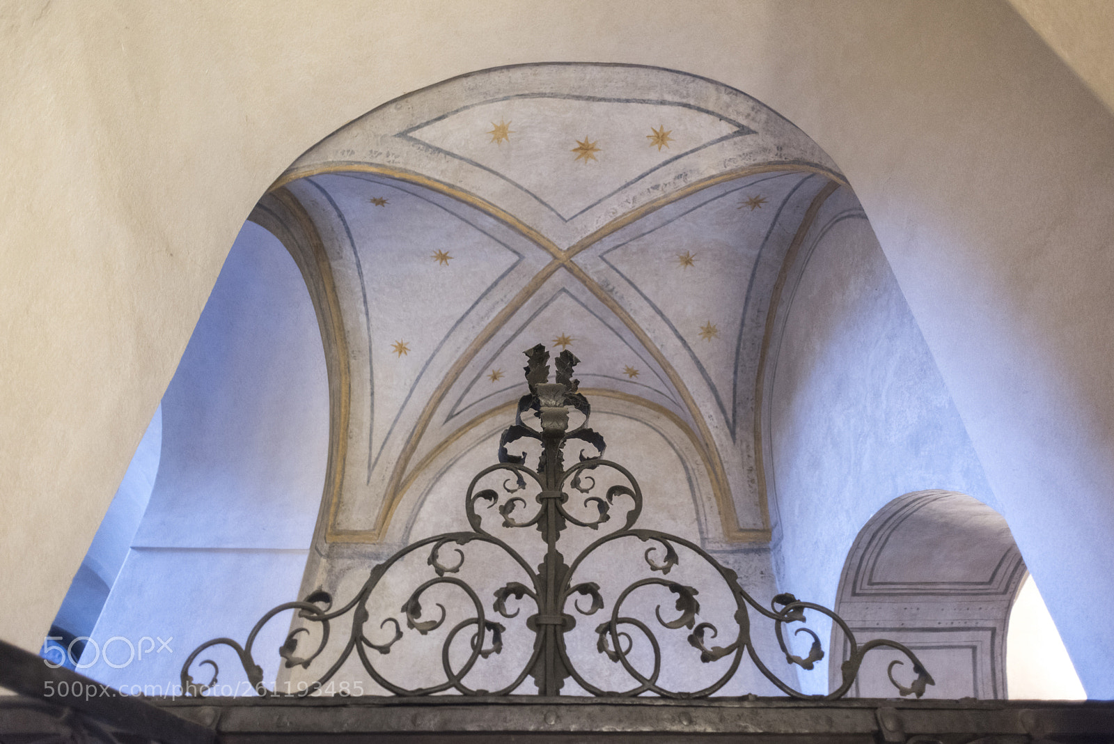 Nikon D810 sample photo. Low angle view of photography