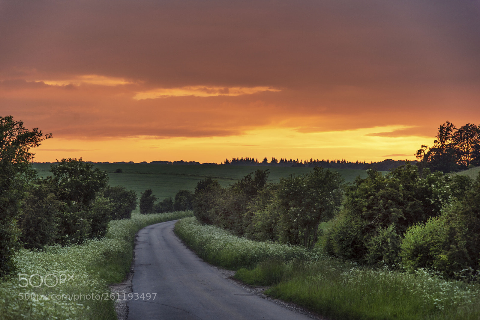 Nikon D750 sample photo. English sunset photography