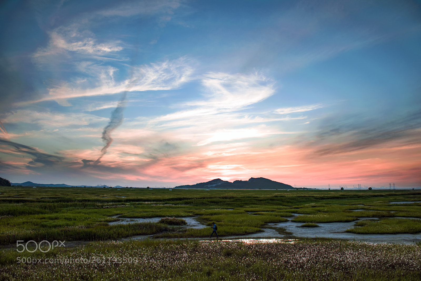 Nikon D810 sample photo. Untitled photography