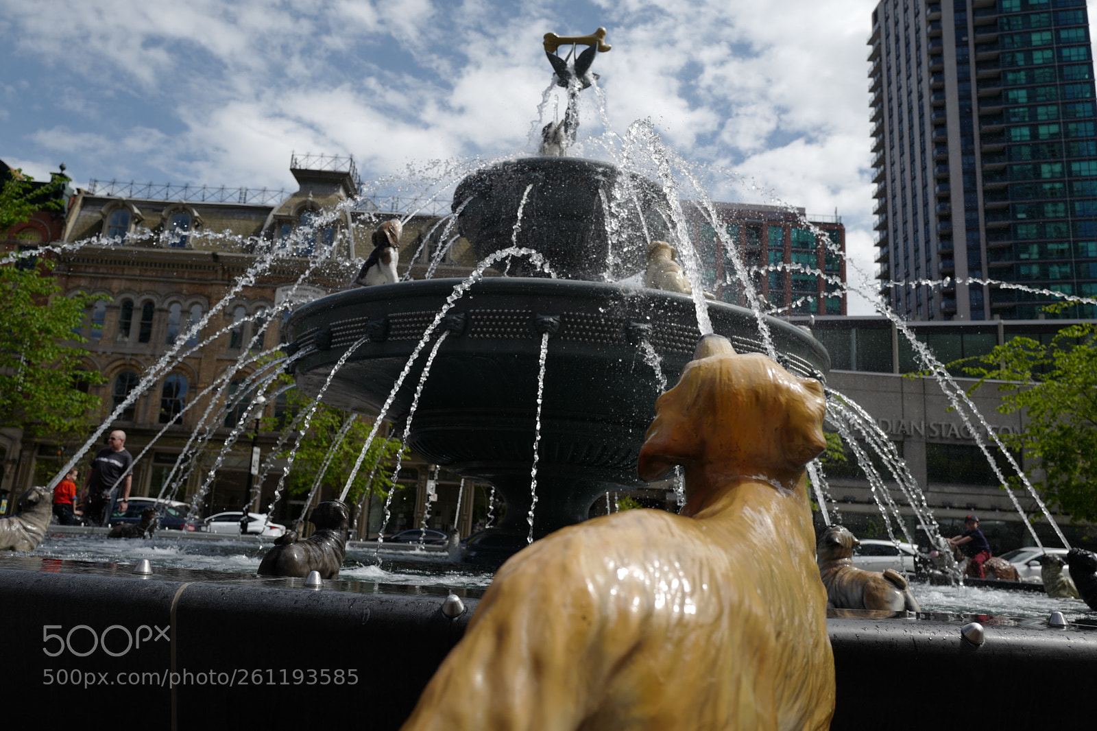 Leica Q (Typ 116) sample photo. Untitled photography