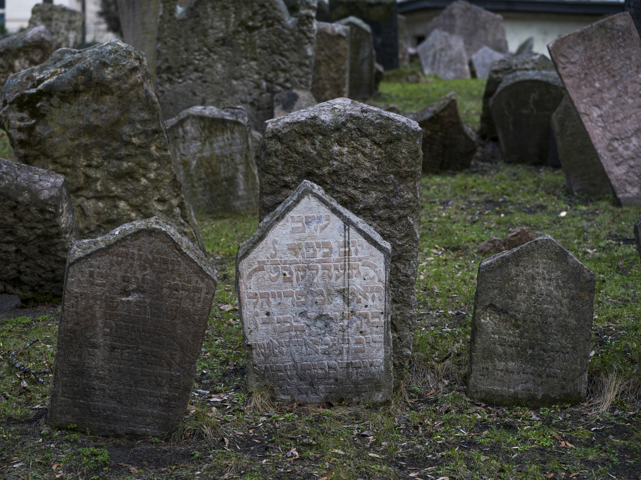 Hasselblad X1D-50c sample photo. Gravestones in old jewish cemetery, prague, czech republic photography
