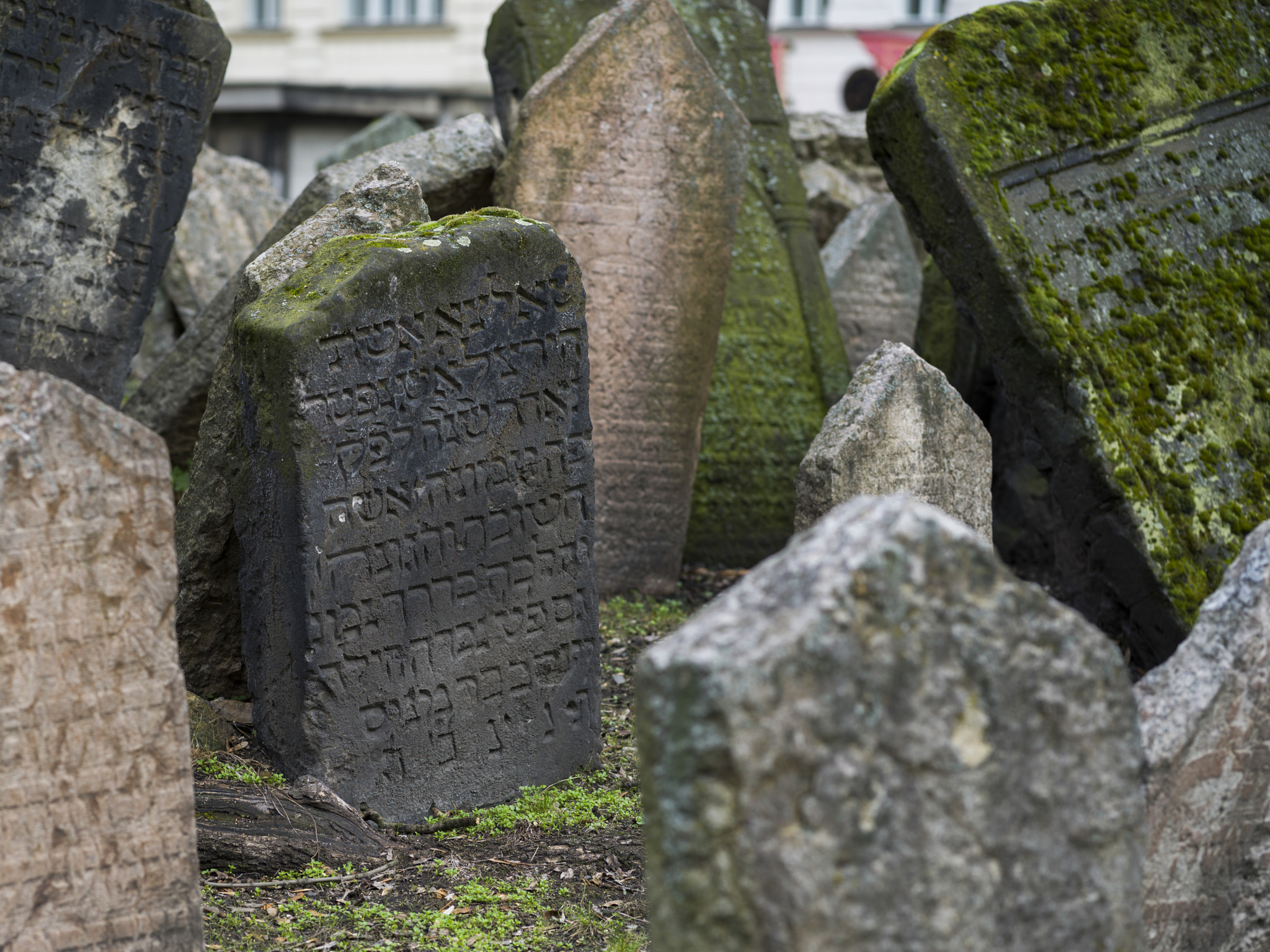 Hasselblad X1D-50c sample photo. Gravestones in old jewish cemetery, prague, czech republic photography