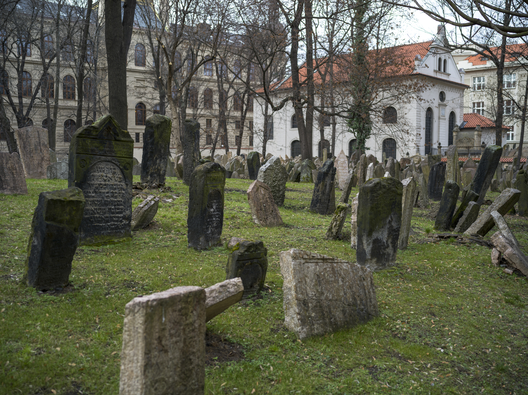 Hasselblad X1D-50c sample photo. Gravestones in old jewish cemetery, prague, czech republic photography