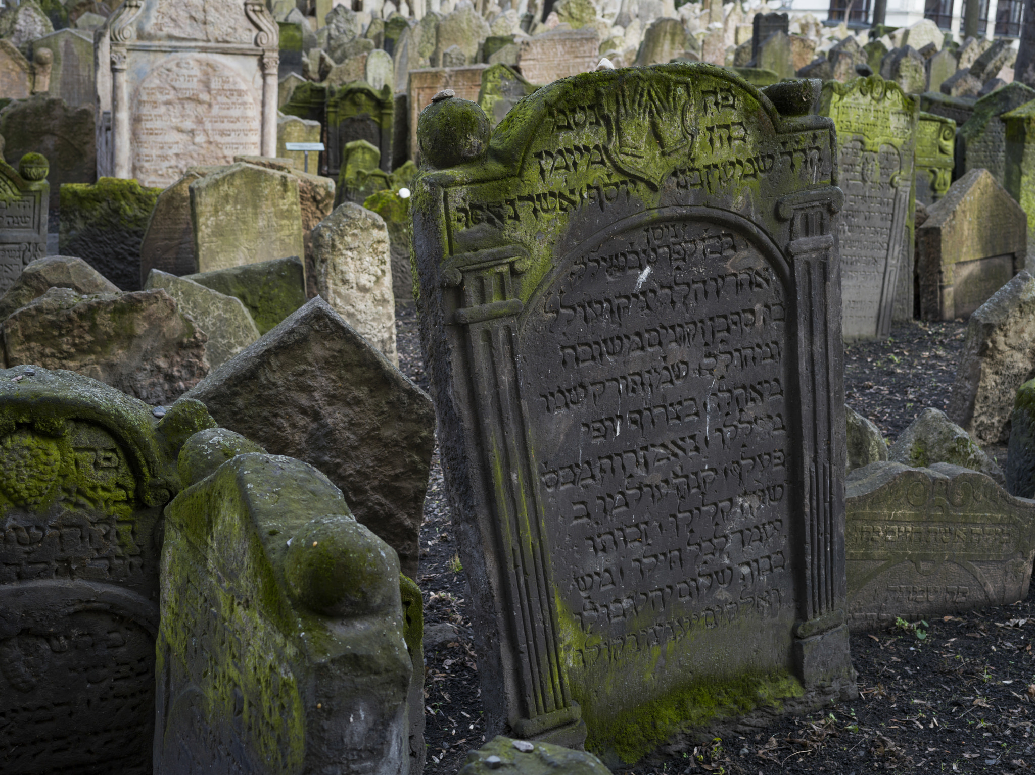 Hasselblad X1D-50c sample photo. Gravestones in old jewish cemetery, prague, czech republic photography