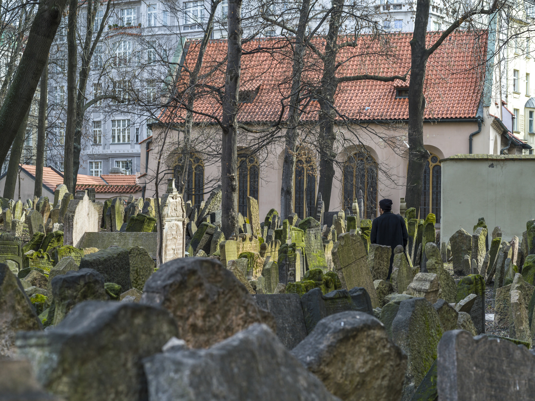 Hasselblad X1D-50c sample photo. Gravestones in old jewish cemetery, prague, czech republic photography