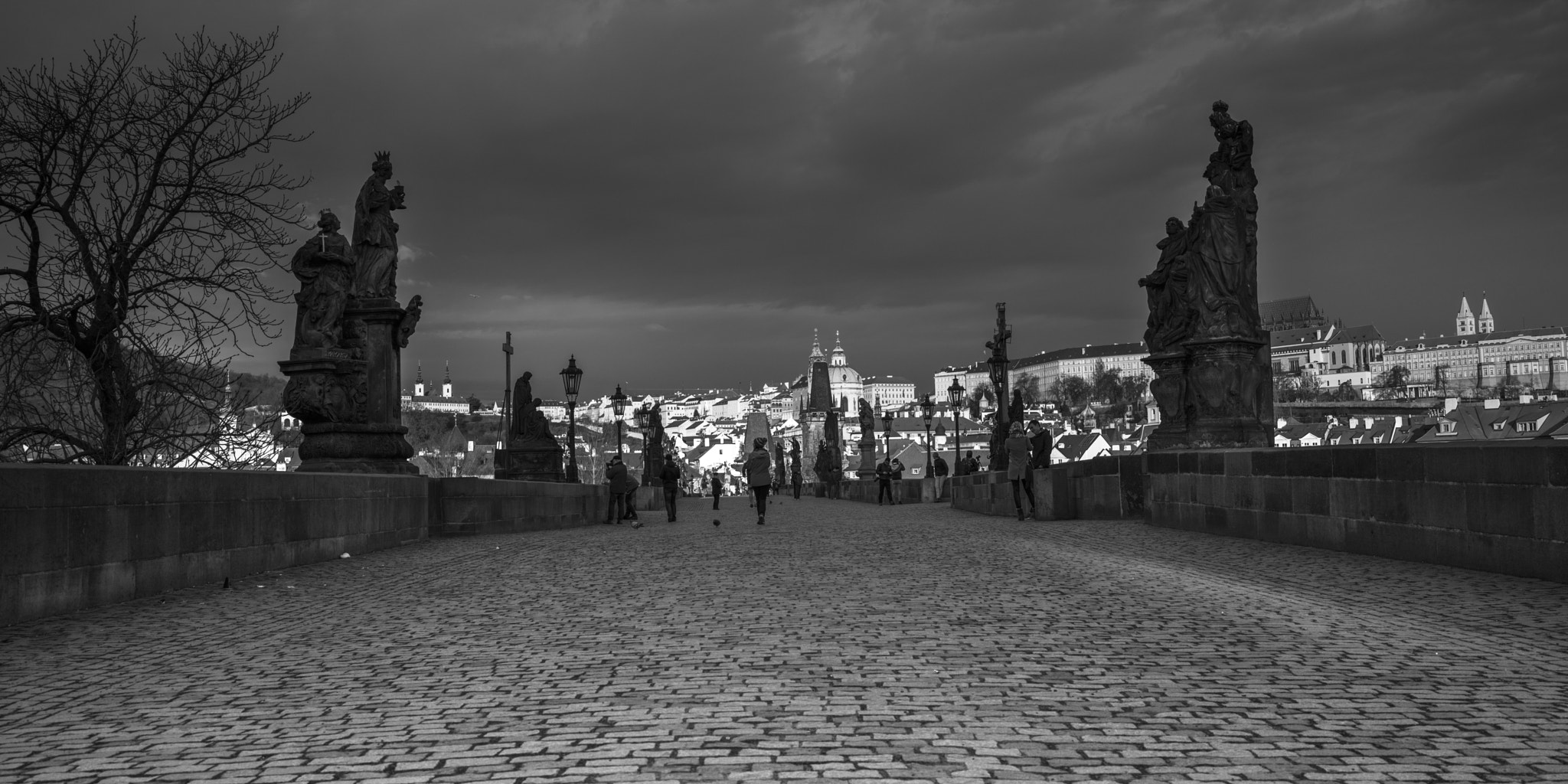 Hasselblad X1D-50c sample photo. Charles bridge with buildings in lesser town in background, prag photography